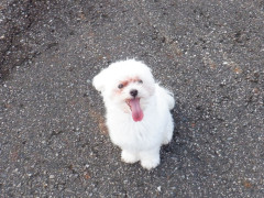 DSCF2590.JPG