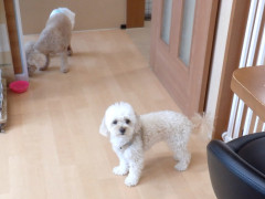 DSCF2610.JPG