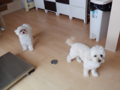 DSCF2617.JPG