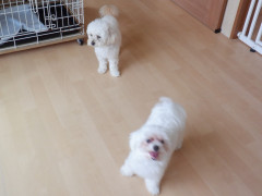 DSCF2620.JPG