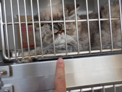 DSCF2623.JPG