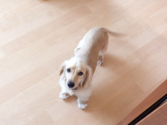 DSCF2624.JPG