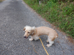 DSCF2636.JPG