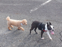 DSCF2648.JPG