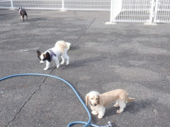DSCF2665.JPG