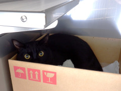 DSCF2673.JPG