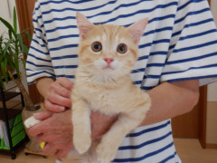 DSCF2670.JPG
