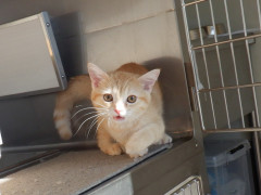 DSCF2687.JPG