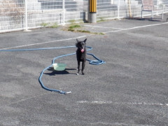 DSCF2692.JPG