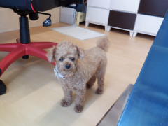DSCF2695.JPG