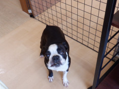 DSCF2703.JPG