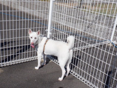 DSCF2707.JPG