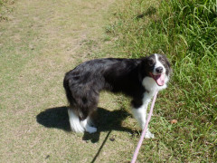 DSCF2713.JPG