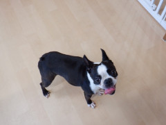 DSCF2718.JPG