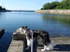 DSCF2730.JPG