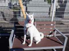 DSCF2735.JPG