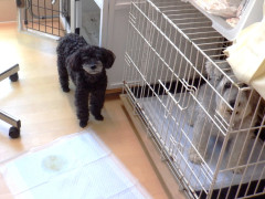 DSCF2739.JPG