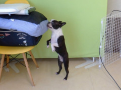 DSCF2755.JPG