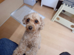 DSCF2745.JPG