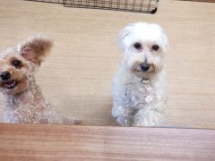 DSCF2747.JPG
