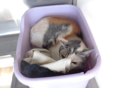 DSCF2792.JPG