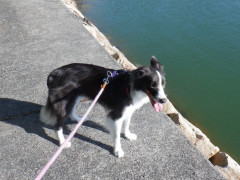 DSCF2790.JPG