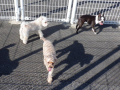 DSCF2777.JPG
