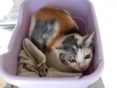 DSCF2834.JPG
