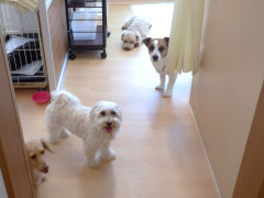 DSCF2838.JPG