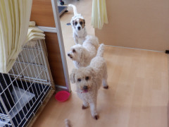 DSCF2842.JPG