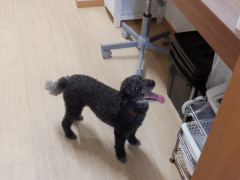 DSCF2849.JPG