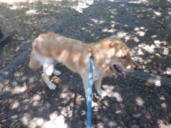 DSCF2854.JPG