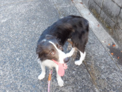 DSCF2902.JPG