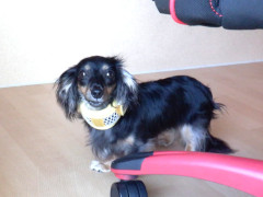 DSCF2927.JPG