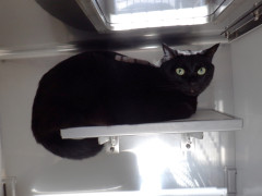 DSCF2929.JPG
