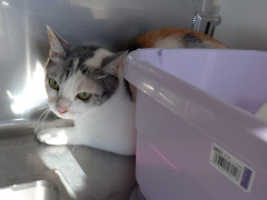 DSCF2931.JPG