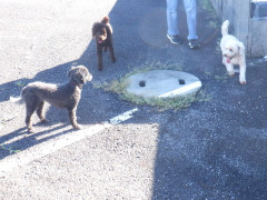 DSCF2922.JPG