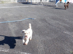 DSCF2918.JPG