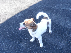 DSCF2913.JPG