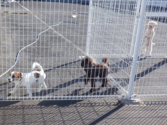 DSCF2909.JPG