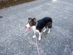 DSCF2942.JPG