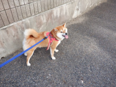 DSCF2945.JPG