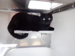 DSCF2950.JPG