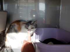 DSCF2949.JPG