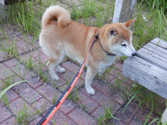 DSCF2958.JPG