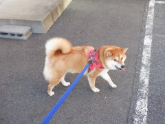 DSCF2962.JPG