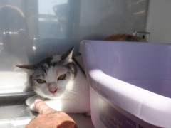 DSCF2967.JPG