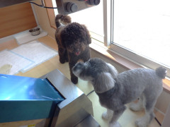 DSCF3086.JPG