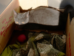 DSCF3067.JPG