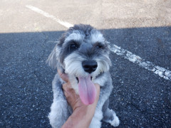 DSCF3071.JPG
